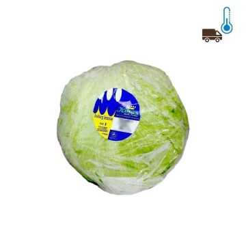 Lechuga iceberg x1/ Iceberg Lettuce