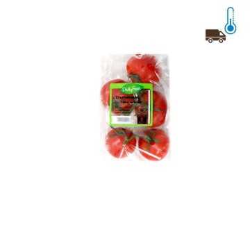 Daily Fresh Trostomaten / Tomate en Rama 500gr