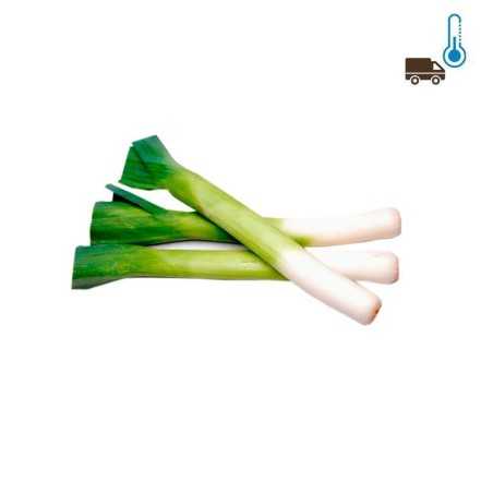 Puerros x1/ Leeks