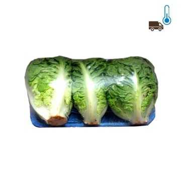 Cogollos Baby 3 Unidades/ Baby Lettuce