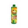 Raak Multivruchten 750ml/ Multifruits Squash