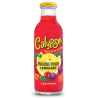 Calypso Paradise Punch Lemonade 473ml